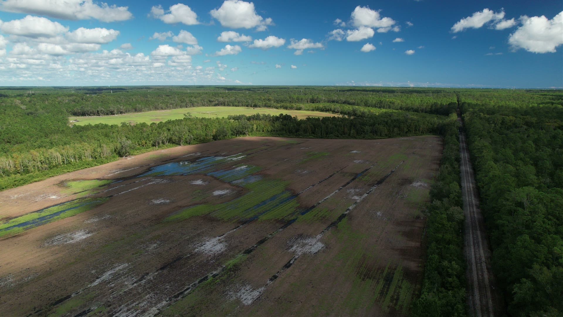Aerial view of a large cleared area being prepared for sod, with a finished sod field and forest beyond.