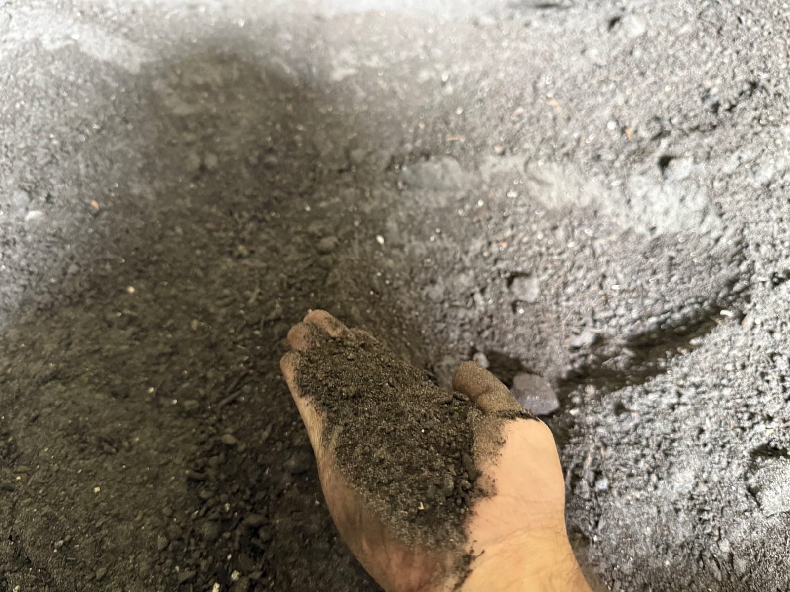 A hand holding fine, screened compost above a compost pile.